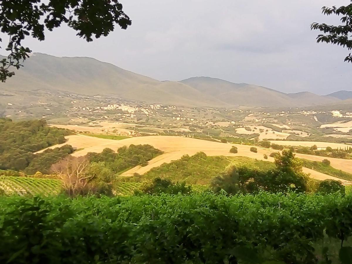 B&B La Gallinella Rossa Baschi Exterior photo