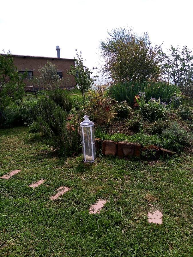 B&B La Gallinella Rossa Baschi Exterior photo